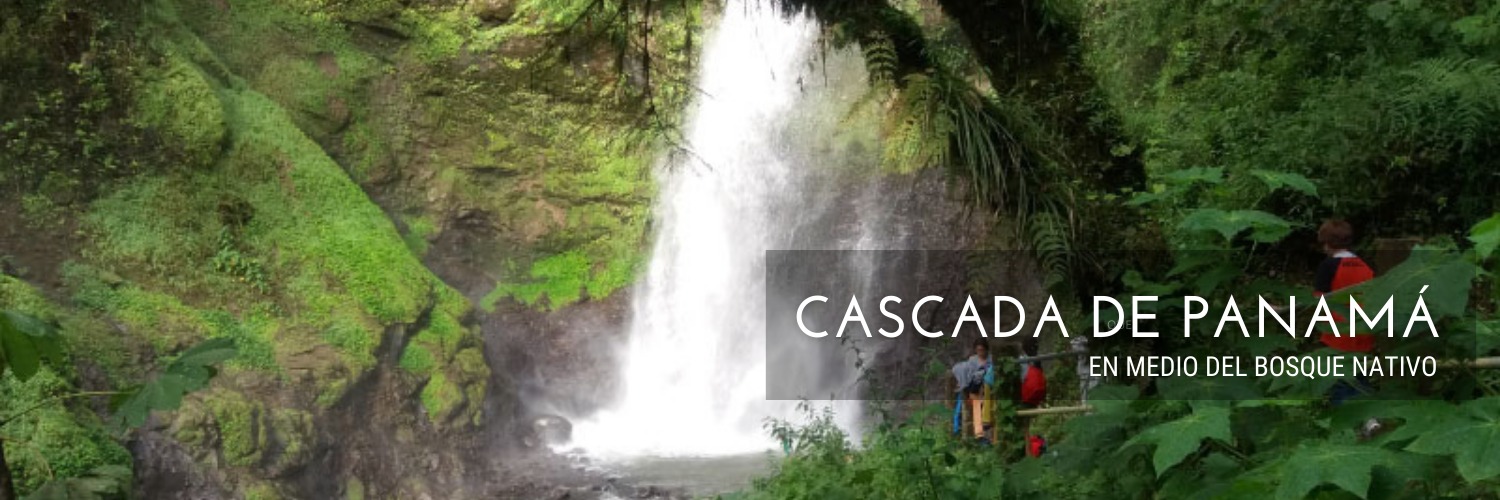 CASCADA DE PANAMÁ