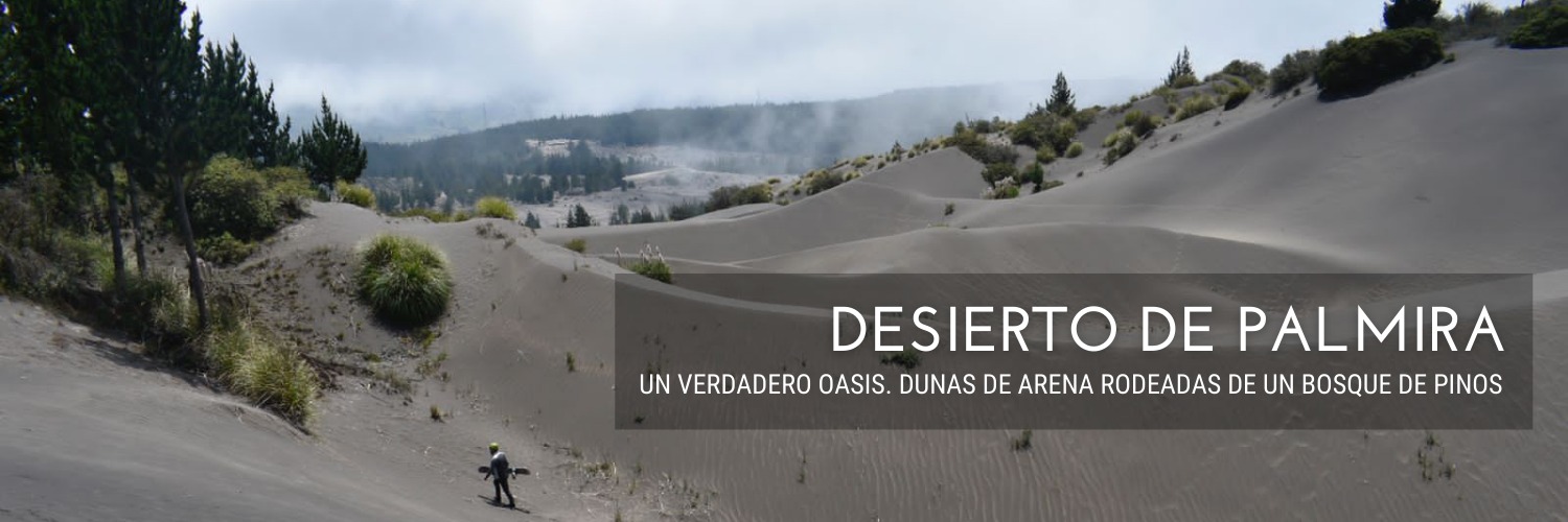 DESIERTO DE PALMIRA